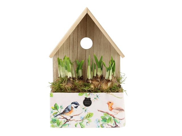 Picture of Spring arrangement outdoor 01pp