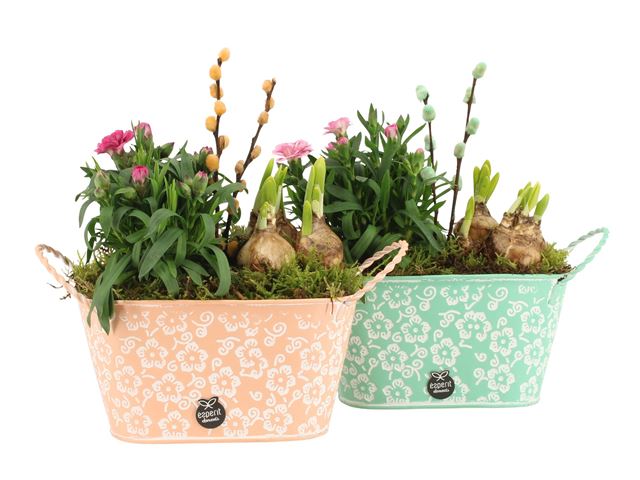 Picture of Spring arrangement outdoor 02pp