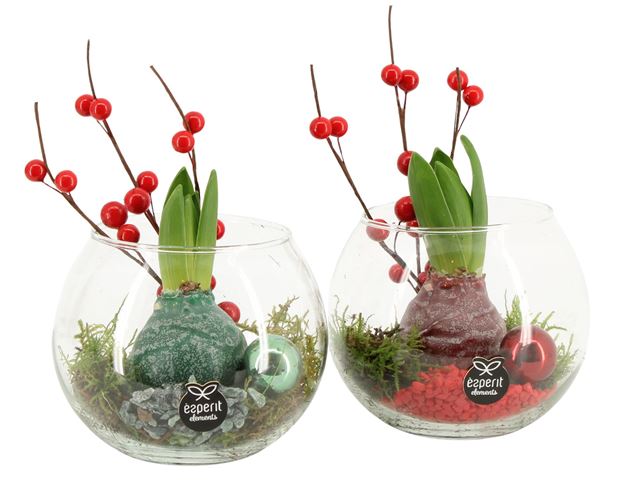 Picture of XMAS ARRANGEMENT 01PP GLASS