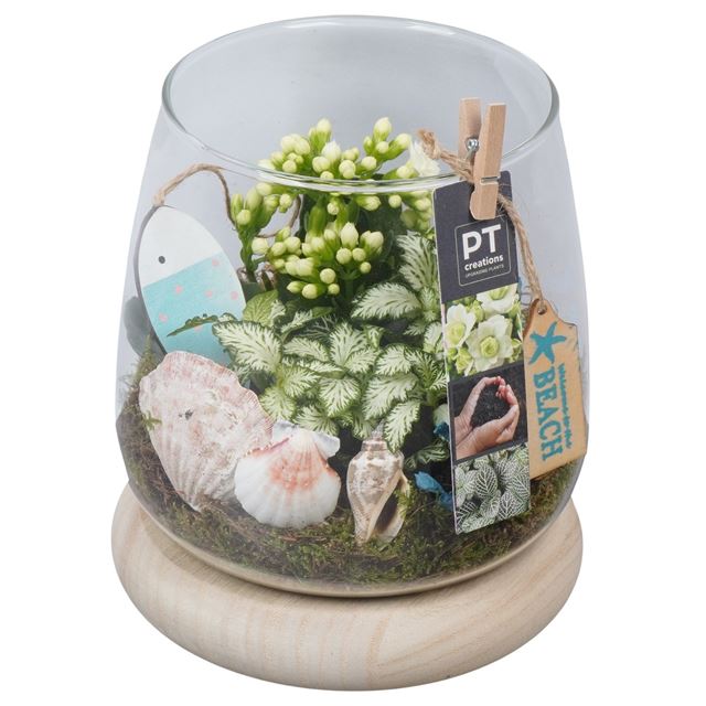 Picture of Summer arrangement 02pp in glass
