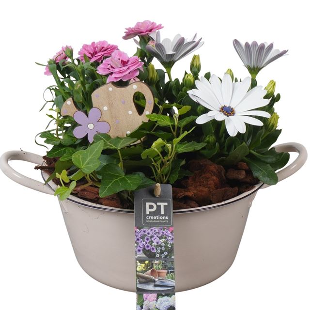 Picture of Patio arrangement 03pp in zinc