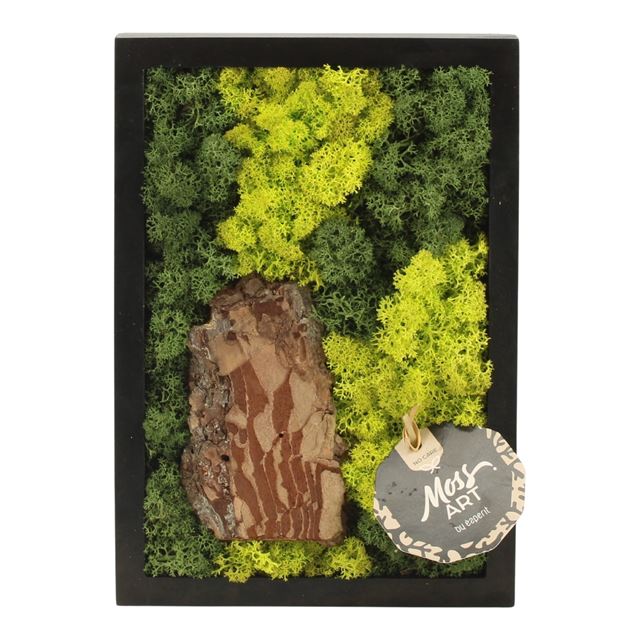 Picture of MOSS ART ARRANGEMENT RECTANGULAR