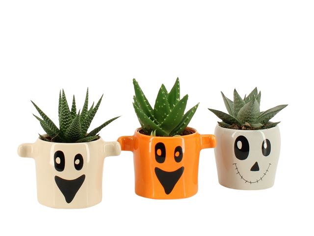 Picture of Halloween arrangement 01pp ceramic