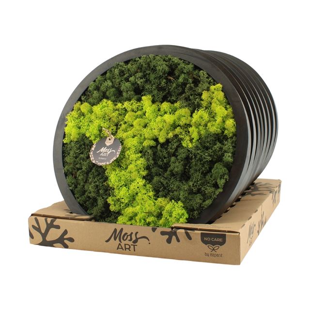 Picture of MOSS ART ARRANGEMENT CIRCULAR