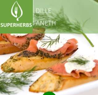 Picture of DILL
