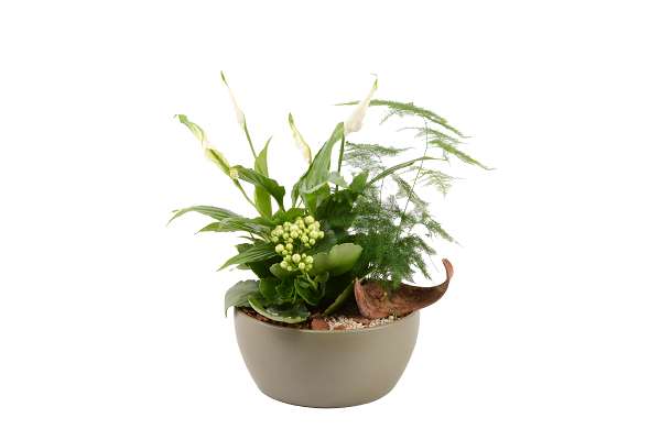 Picture of Arrangement 03pp