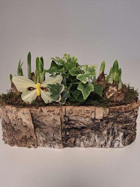 Picture of Spring arrangement 03pp