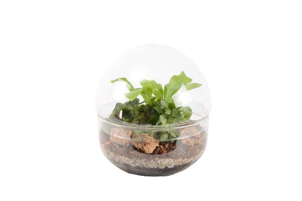 Picture of Terrarium ball 3 pl