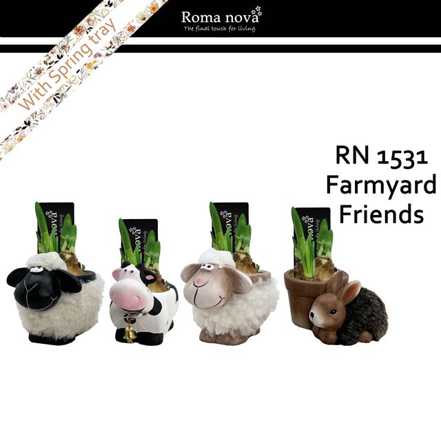 Picture of Narcissus farmyard friends