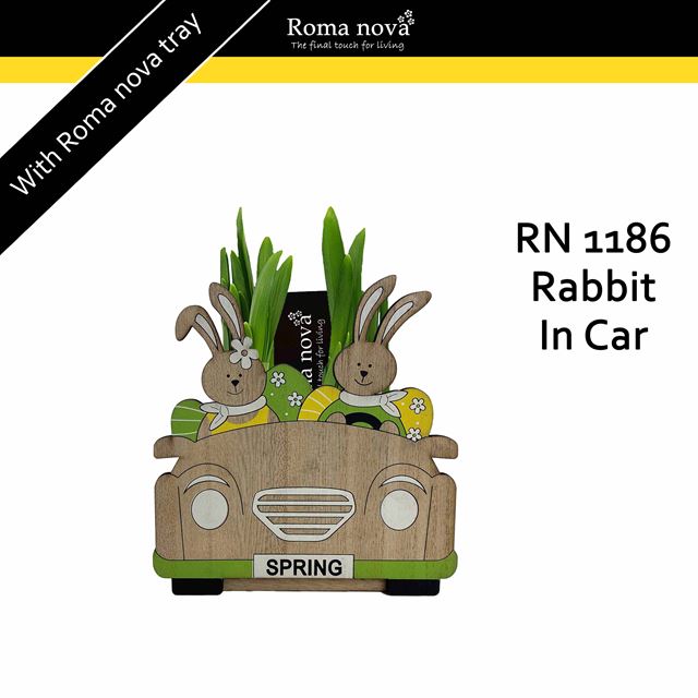 Picture of Narcissus rabbit in car