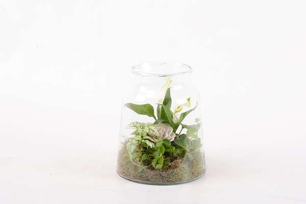 Picture of Arrangement 03pp in glass
