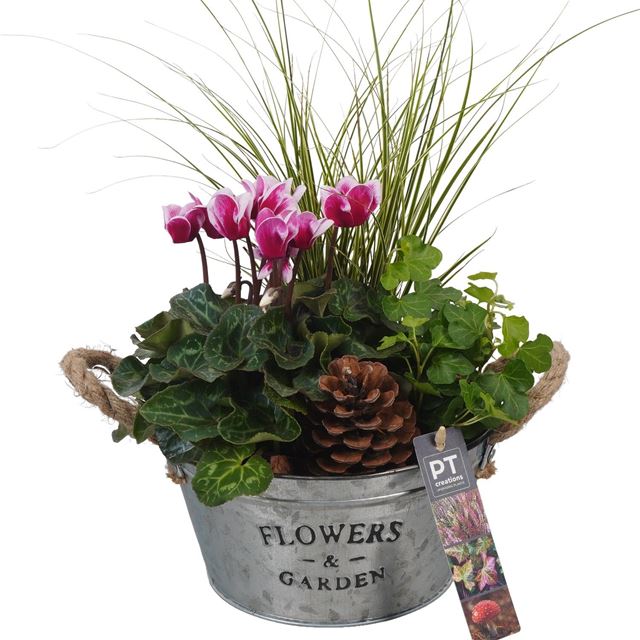 Picture of AUTUMN ARRANGEMENT OUTDOOR IN ZINC