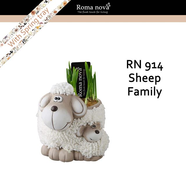 Picture of Narcissus sheep family