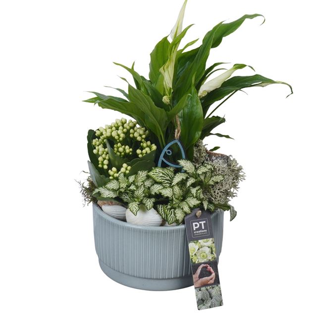 Picture of Summer arrangement 03pp in ceramic