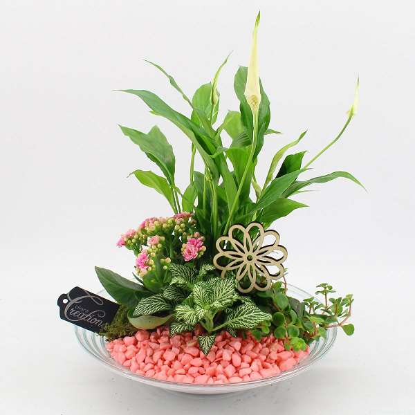 Picture of PINK ARRANGEMENT IN GLASS