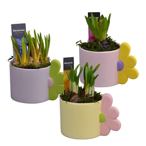 Picture of Bulbs mix bloomie ceramic mug