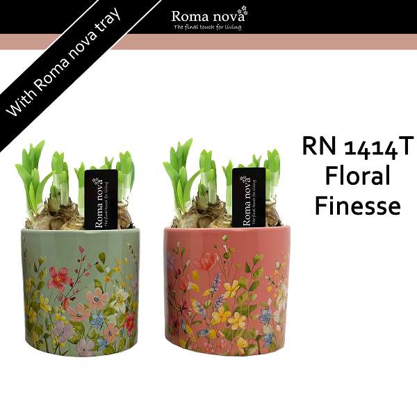 Picture of Narcissus ceramic floral finesse