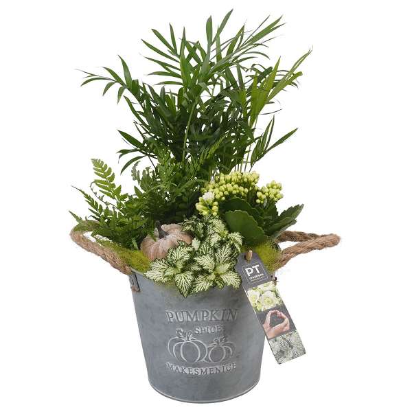 Picture of AUTUMN ARRANGEMENT INDOOR 04PP IN ZINC