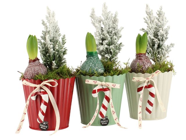Picture of XMAS ARRANGEMENT 02PP ZINC