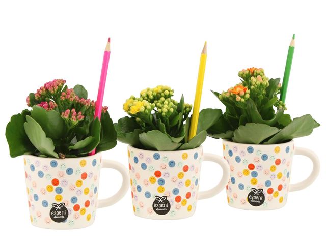Picture of Love school arrangement in zinc