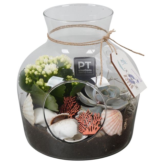 Picture of SUMMER ARRANGEMENT 02PP IN GLASS