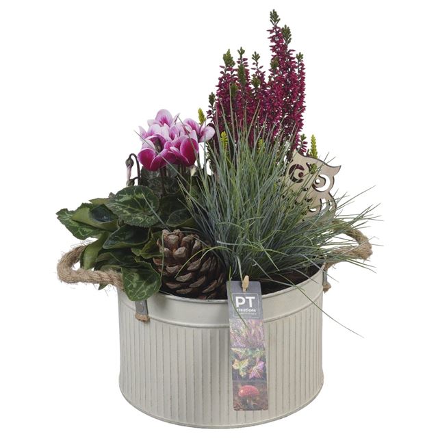 Picture of AUTUMN ARRANGEMENT OUTDOOR IN ZINC