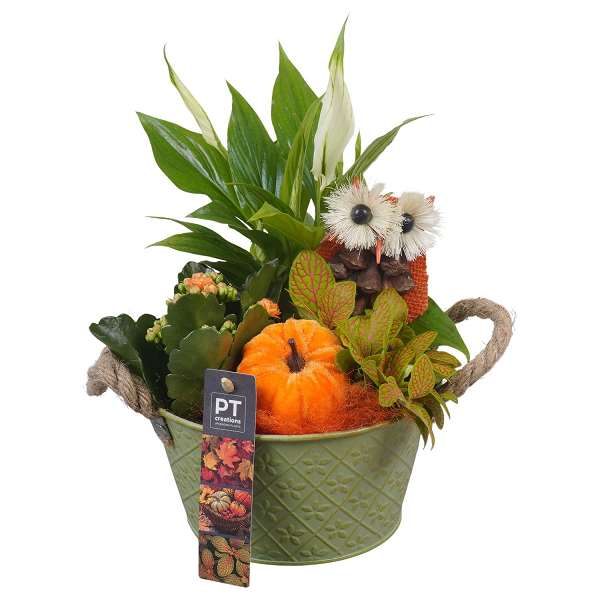 Picture of AUTUMN ARRANGEMENT INDOOR 03PP IN ZINC