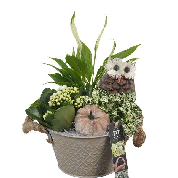 Picture of AUTUMN ARRANGEMENT INDOOR 03PP IN ZINC