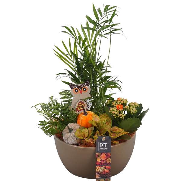 Picture of AUTUMN ARRANGEMENT INDOOR 04PP IN CERAMIC