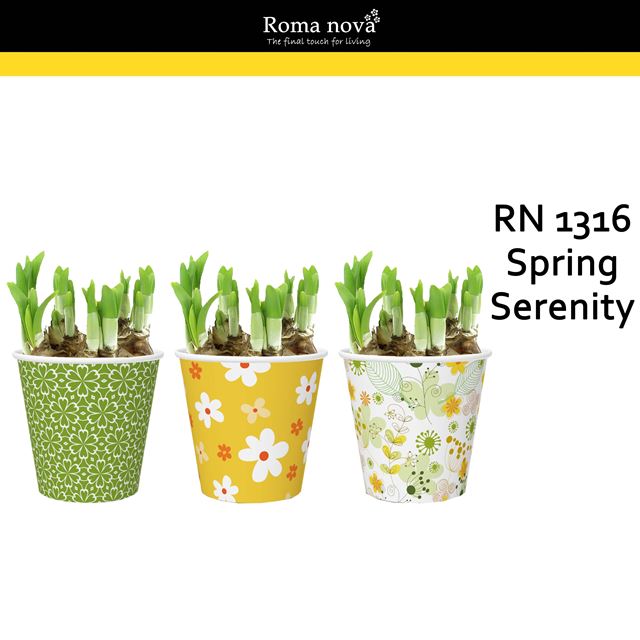 Picture of Narcissus spring serenity