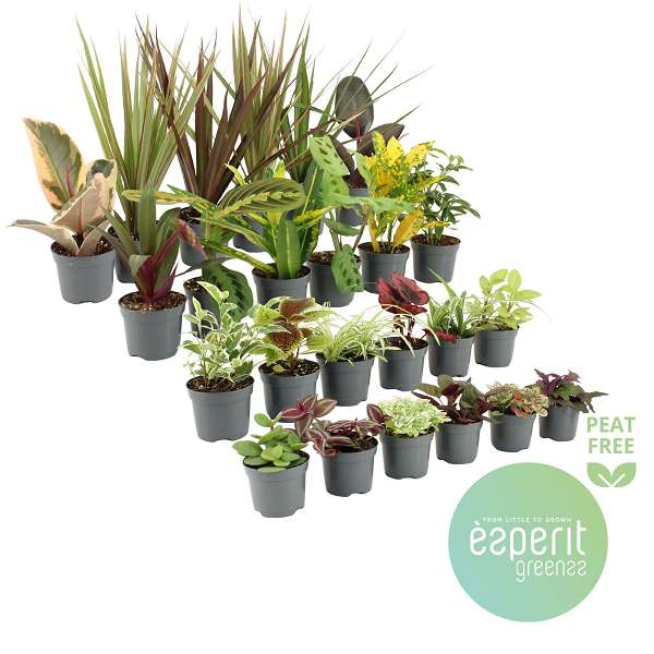 Picture of Groenmix greenss 20-24 srt 