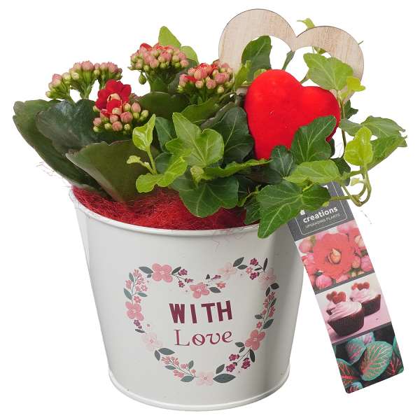 Picture of VALENTINE'S DAY ARRANGEMENT 02PP  IN METAL POT