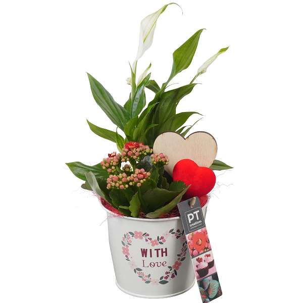 Picture of VALENTINE'S DAY ARRANGEMENT 02PP IN METAL POT