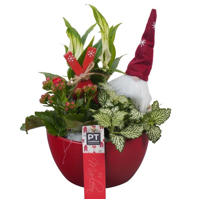 Picture of XMAS ARRANGEMENT 03PP IN CERAMIC