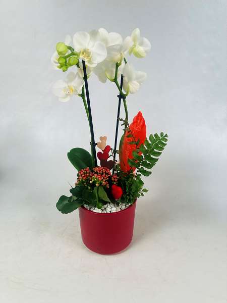 Picture of Valentine arrangement kolibri 03pp