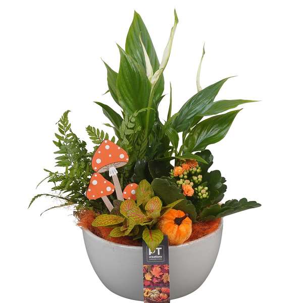 Picture of AUTUMN ARRANGEMENT INDOOR 04PP IN CERAMIC