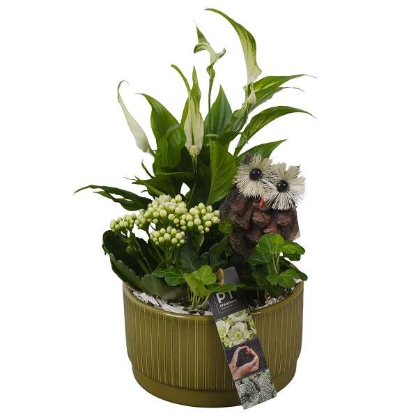 Picture of AUTUMN ARRANGEMENT INDOOR 03PP IN CERAMIC