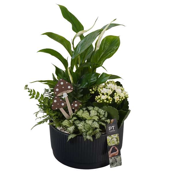 Picture of AUTUMN ARRANGEMENT INDOOR 04PP IN CERAMIC