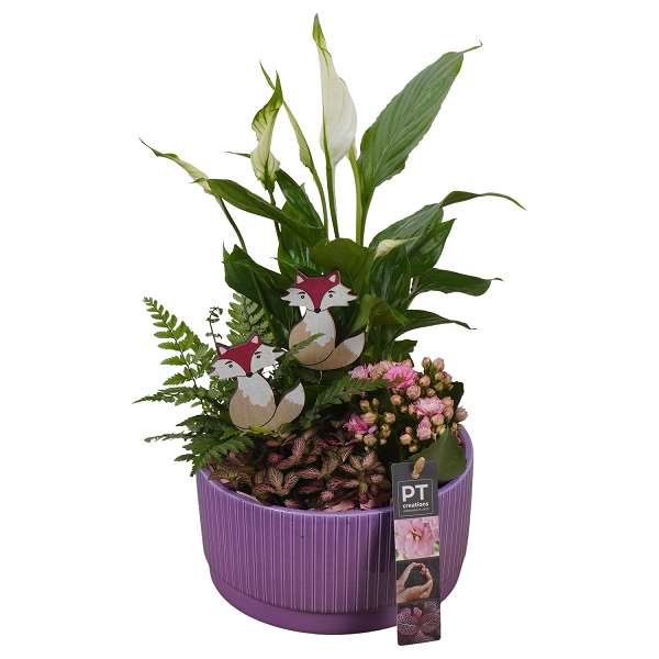 Picture of AUTUMN ARRANGEMENT INDOOR 03PP IN CERAMIC
