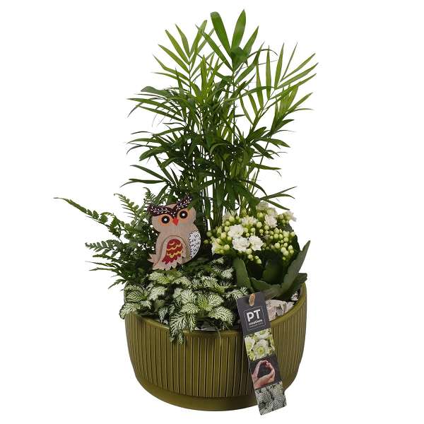 Picture of AUTUMN ARRANGEMENT INDOOR 04PP IN CERAMIC