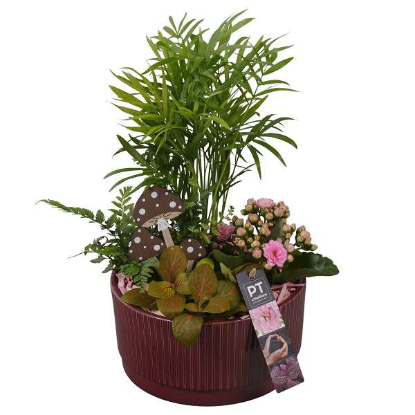 Picture of AUTUMN ARRANGEMENT INDOOR 04PP IN CERAMIC
