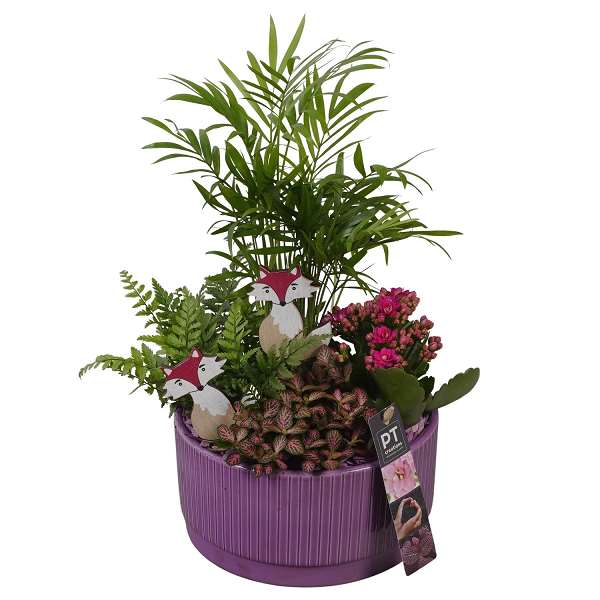 Picture of AUTUMN ARRANGEMENT INDOOR 04PP IN CERAMIC