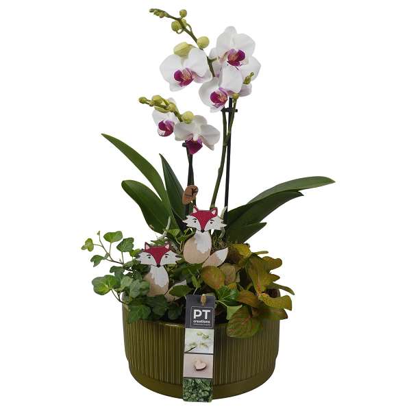 Picture of AUTUMN ARRANGEMENT INDOOR 03PP IN CERAMIC