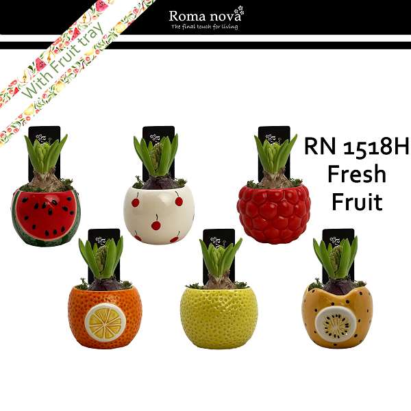 Picture of Hyacinthus 01bulb ceramic fresh fruit