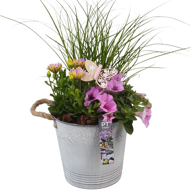 Picture of Patio arrangement 03pp in zinc