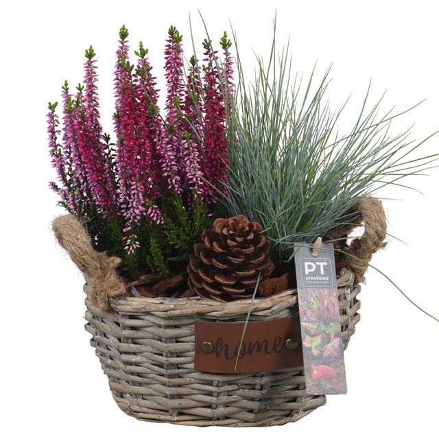Picture of AUTUMN ARRANGEMENT OUTDOOR IN WICKER BASKET