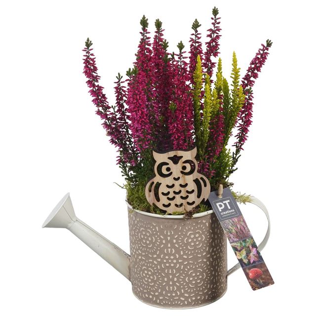 Picture of AUTUMN ARRANGEMENT OUTDOOR IN ZINC