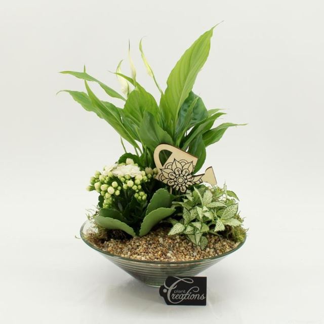 Picture of White arrangement in glass