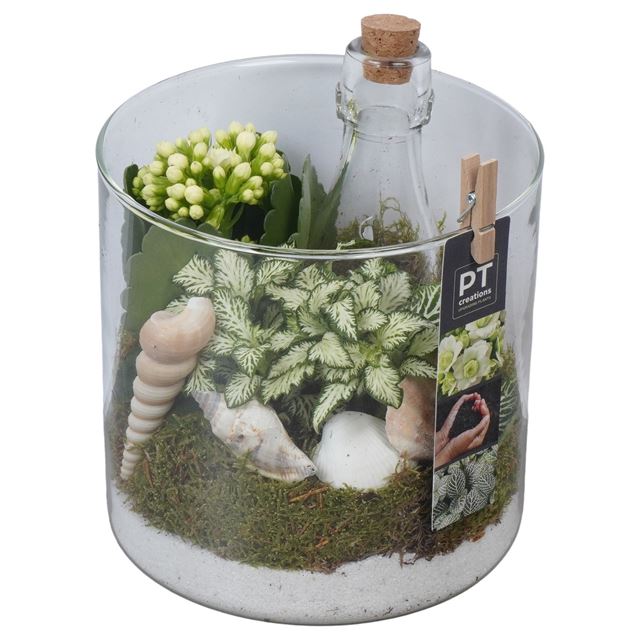 Picture of Summer arrangement 02pp in glass