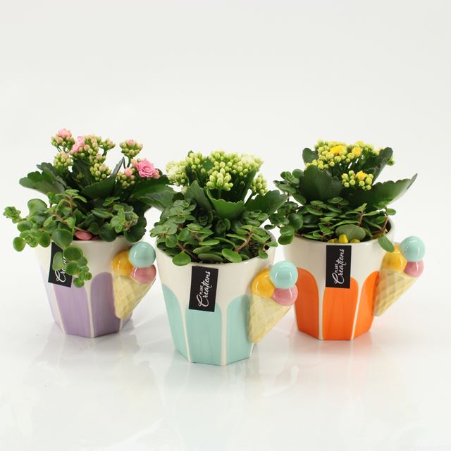 Picture of Summer arrangement 02pp in ceramic
